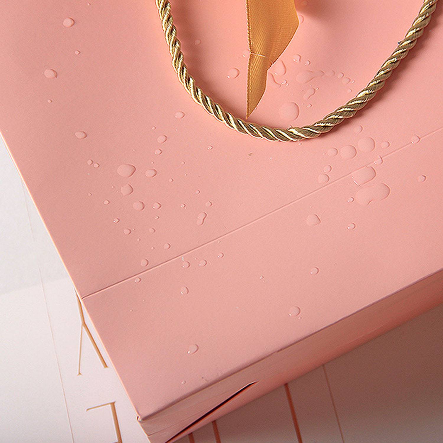 Waterproof Bow Thick Paper Gift Bag 6