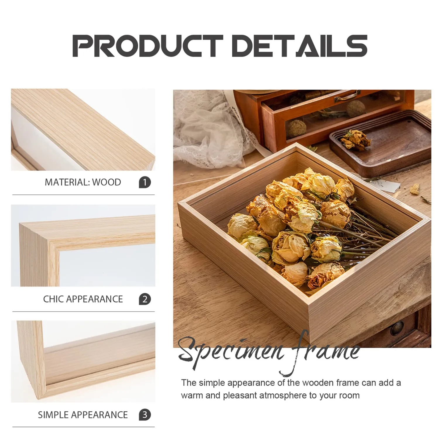 Flower Plant Specimen Photo Frame 2