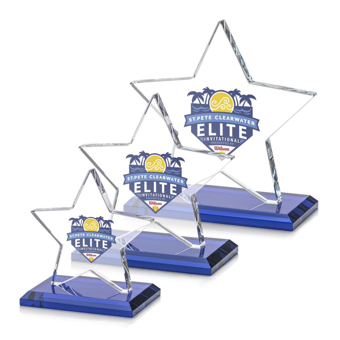 Sudbury Star VividPrint™ Award - Blue 2