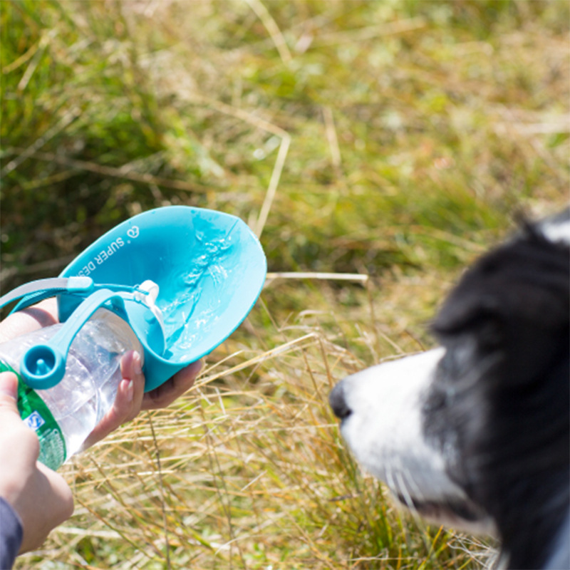 20OZ Portable Pet Water Dispenser Feeder Container 10