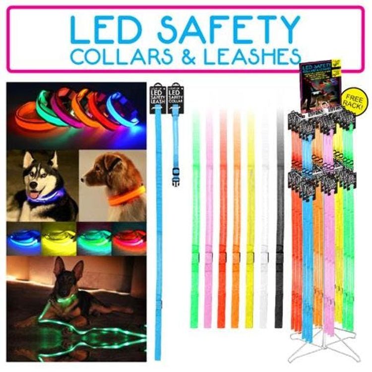 LED Safety Collars and Leashes - Small-XL 2