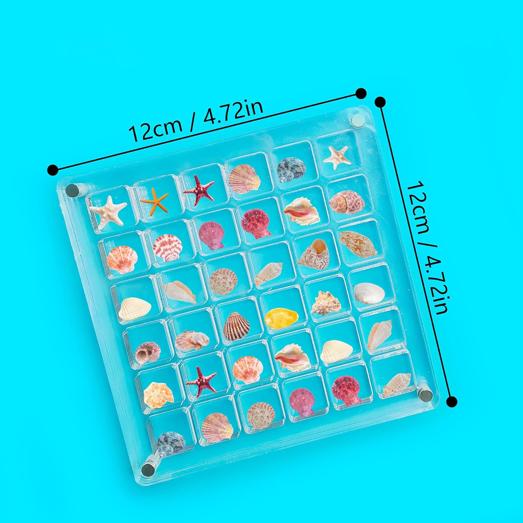 Acrylic Seashell Display Box 2