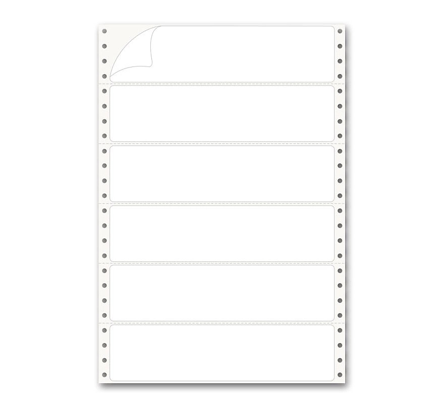 Pinfed Typing Strip Labels 2