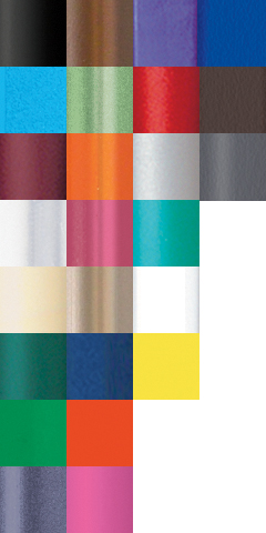 BIC® Clic Stic® Pen