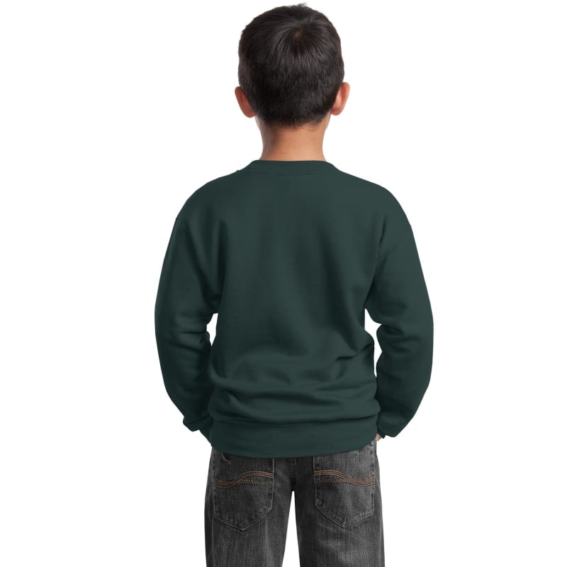 Port & Company Youth Core Fleece Crewneck Sweatshirt. 17