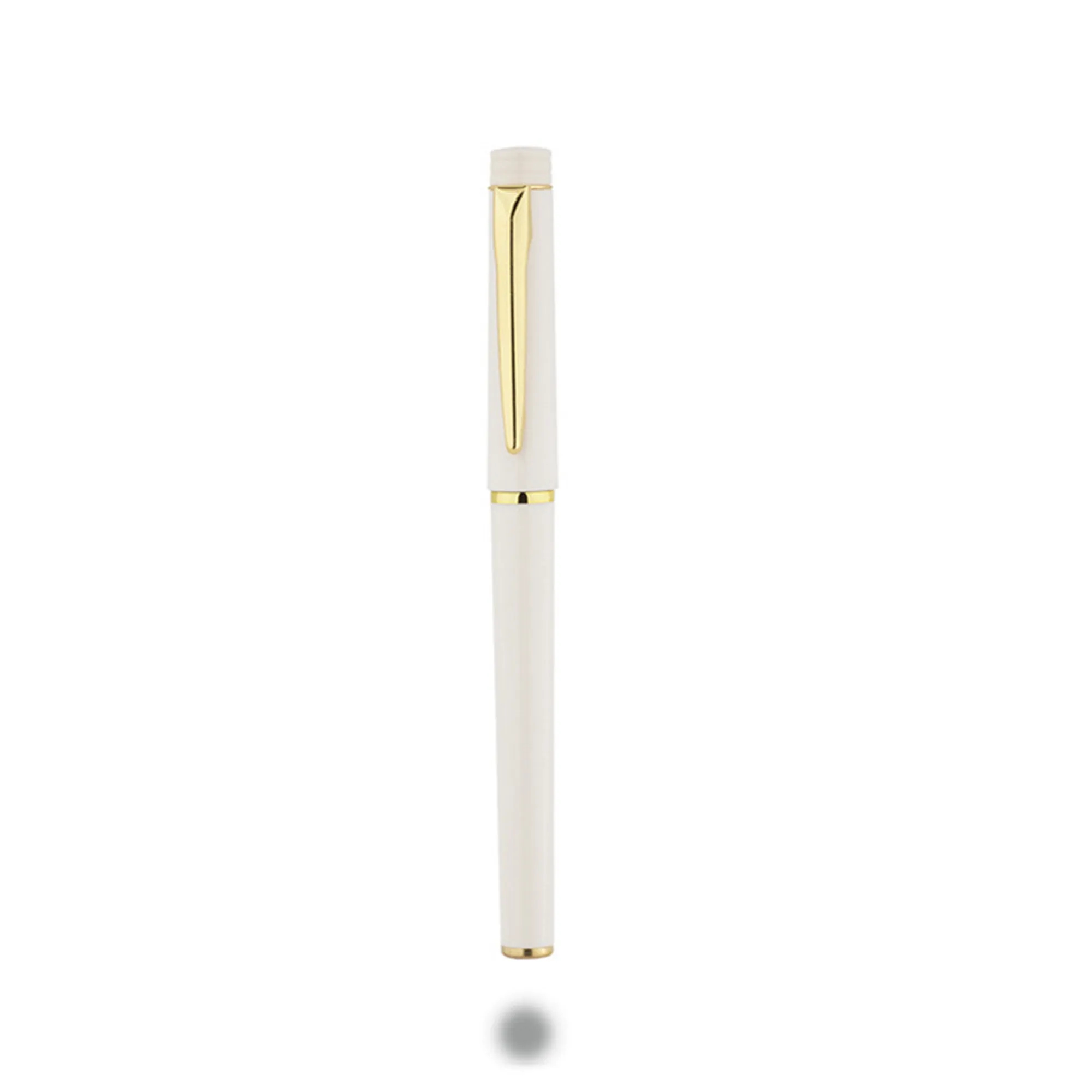 Business Plastic Gel Pen 10pcs 5