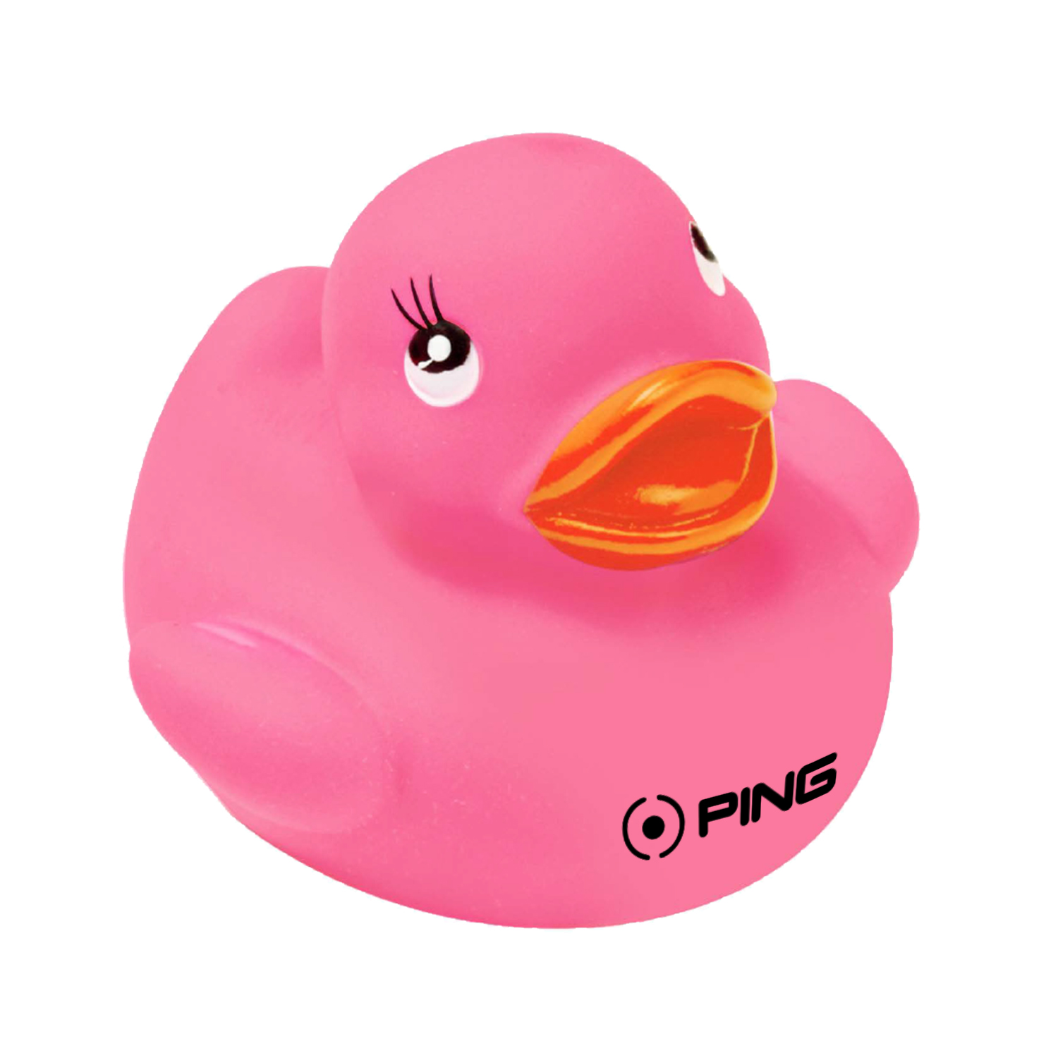 Colorful Duck 18