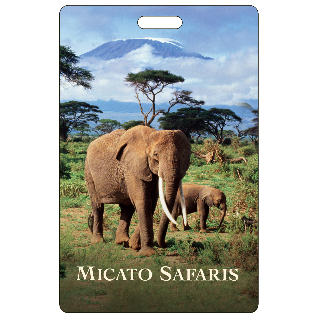 Kangaroo Luggage Tag 1