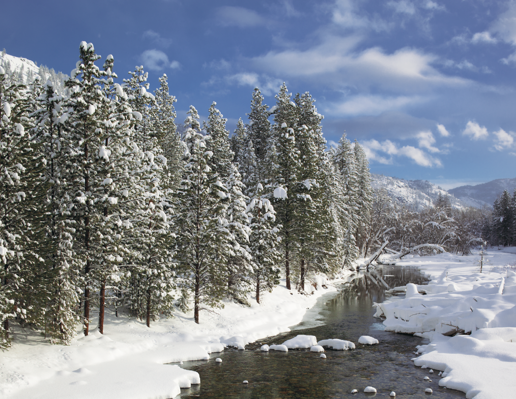 HotLine® Products Catholic Reflections Appointment Calendar - Stapled 40