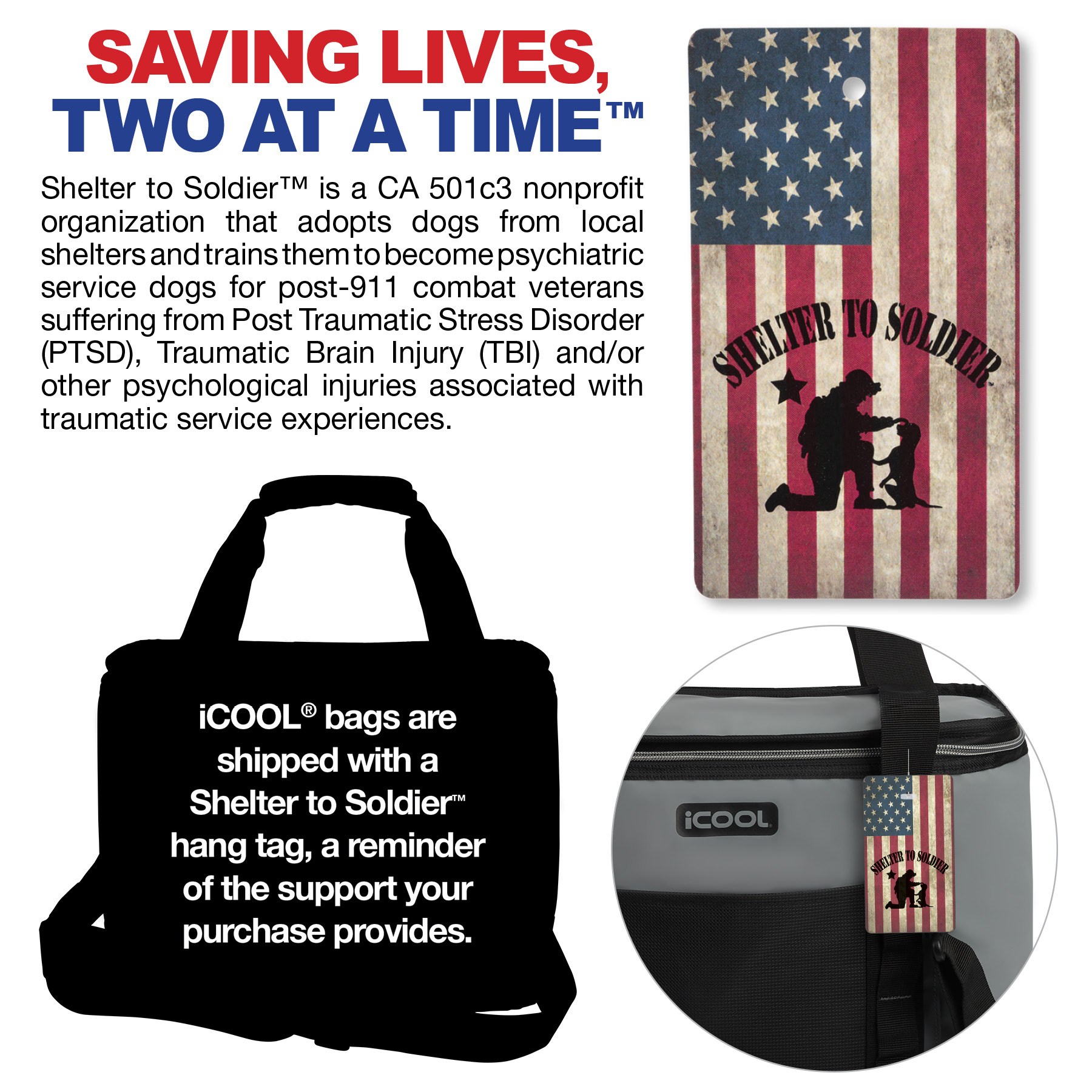 iCOOL® Pinecrest 20-Can Cooler 3