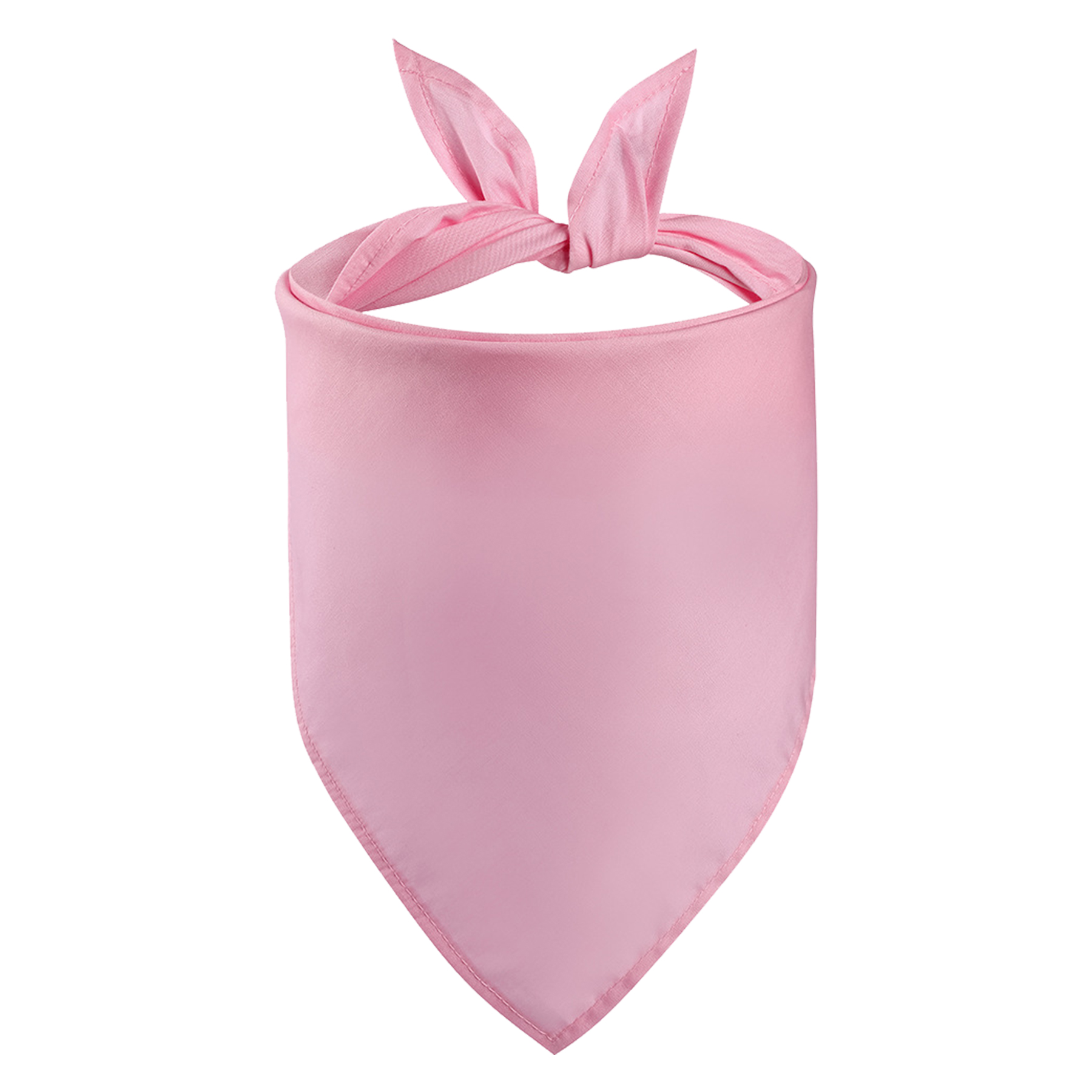 Pet Bandanna 11
