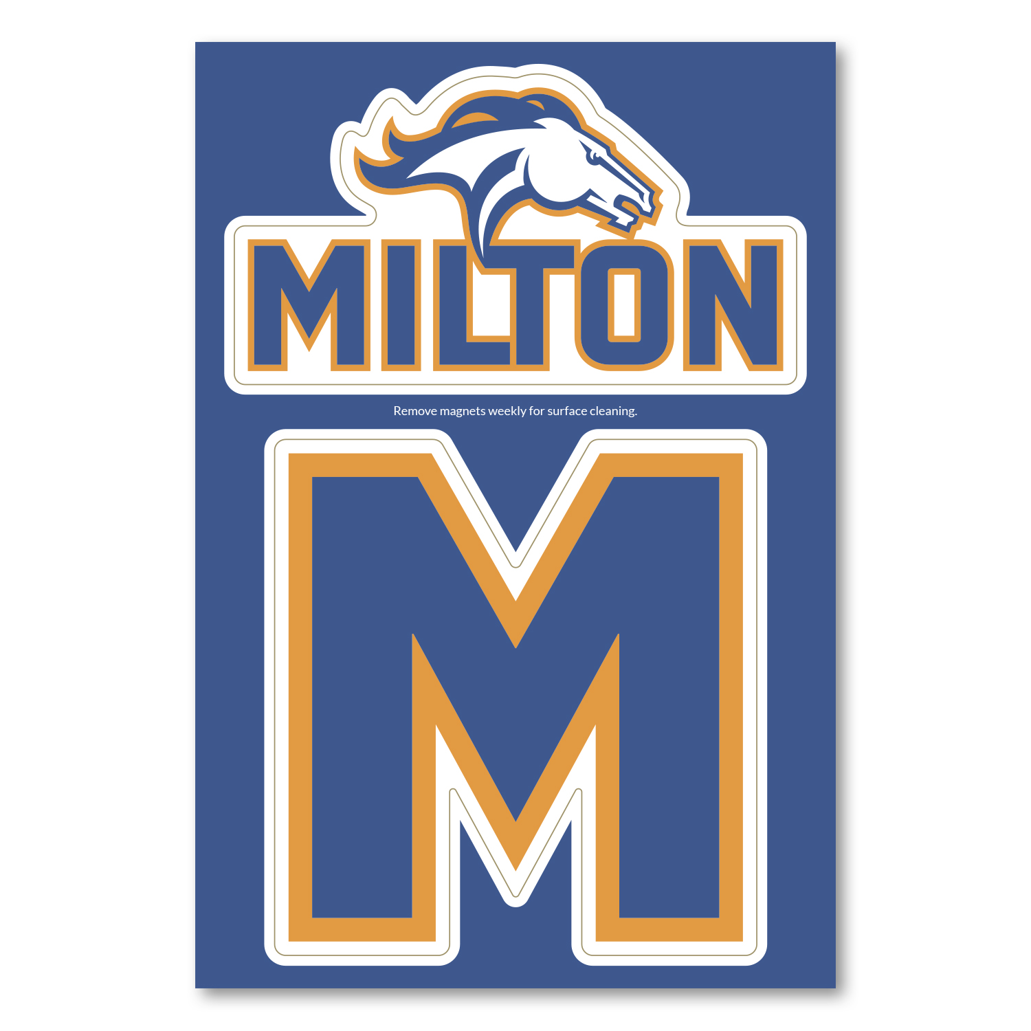 2-in-1 Car Magnet Custom 5.75 X 8.5 8