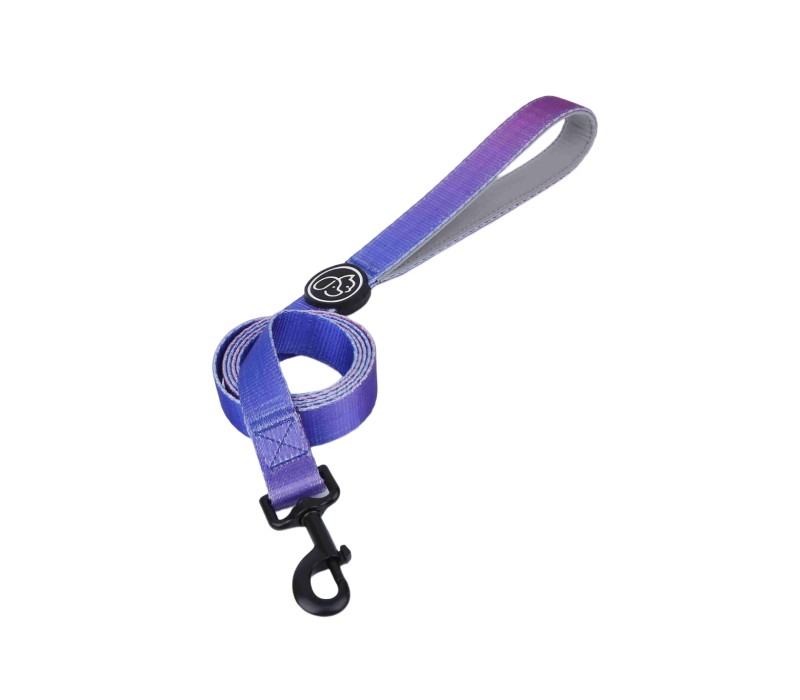 Pet Leash with Padded Neoprene Handle-Small 2