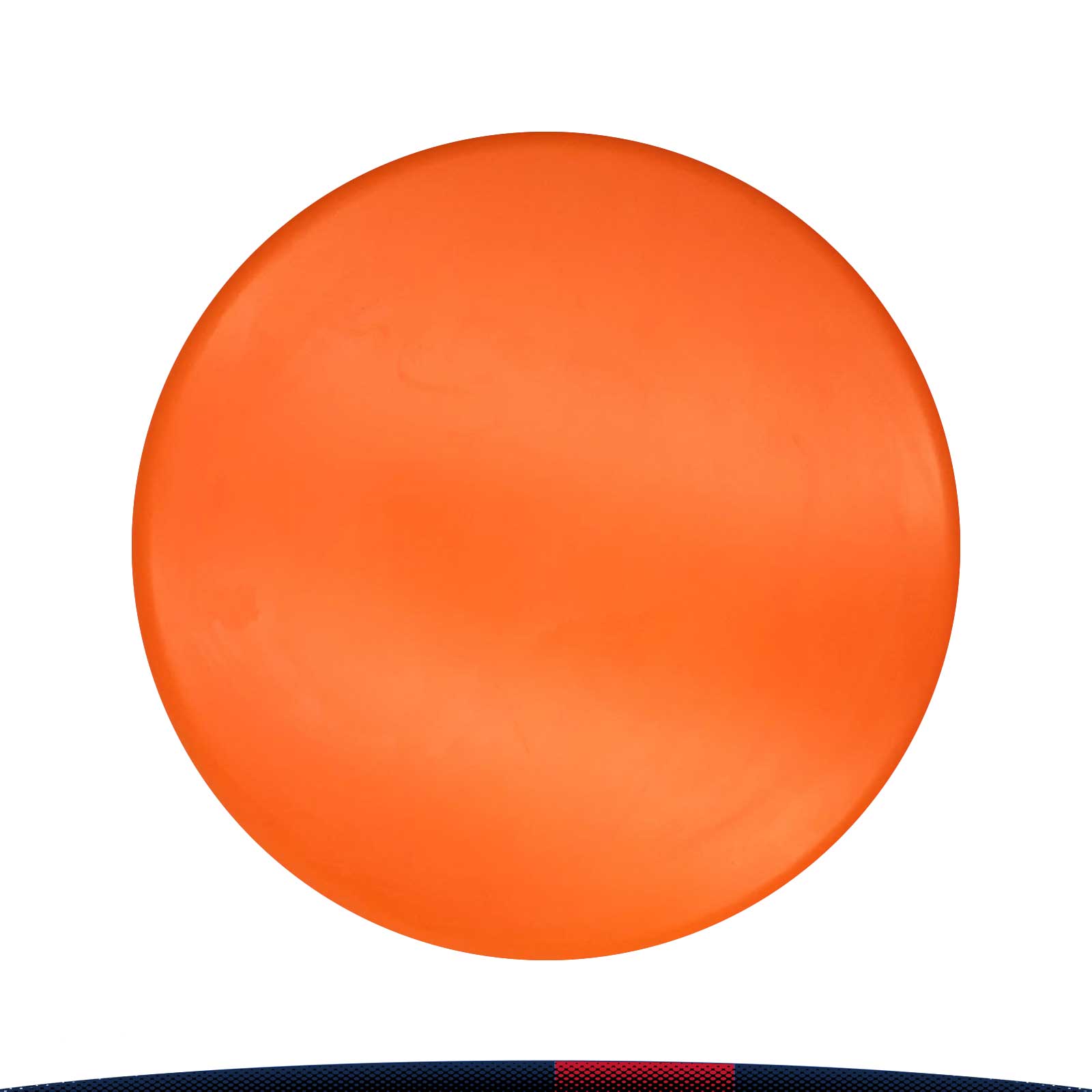 Fimoa Flying Disc 2