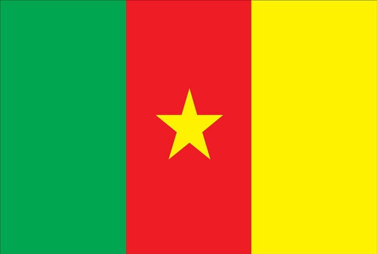 Cameroon Flag - 4' x 6' - Nylon 1