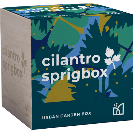 Sprigbox Cilantro Grow Kit 6