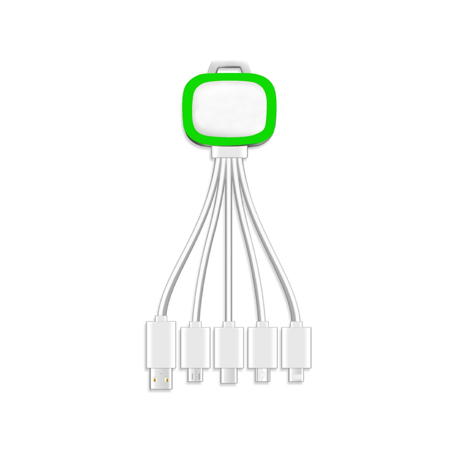 Multi-Function 5-in-1 Data Line 1