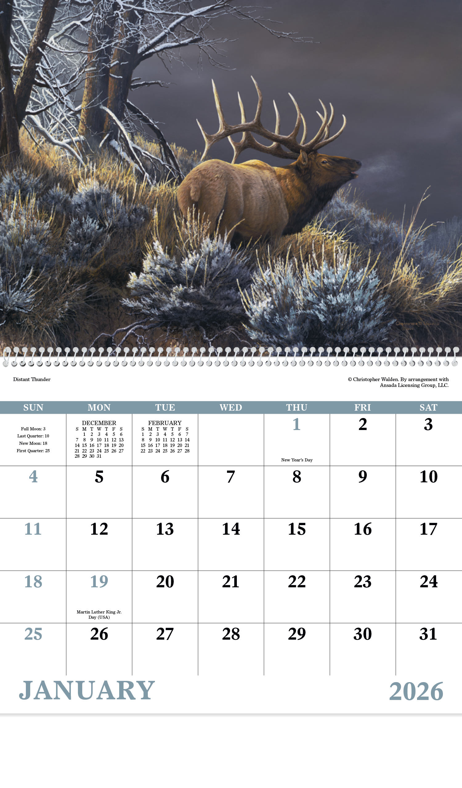Good Value™ Wildlife Canvas - Spiral Calendar 3