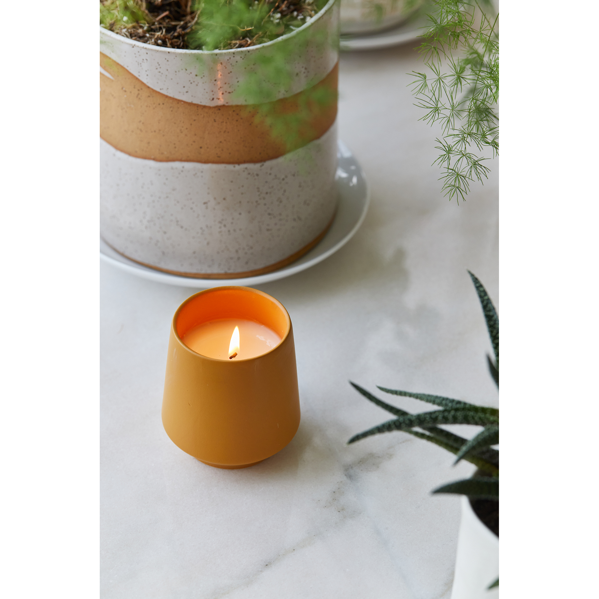 Modern Sprout® Rooted Candle 7
