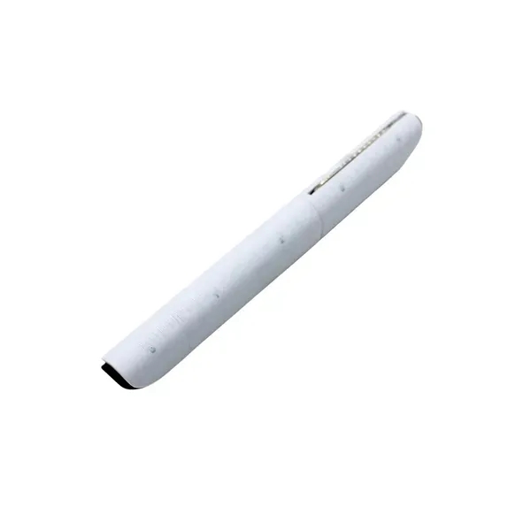 Custom Ballpoint Pen - Business Gift 2