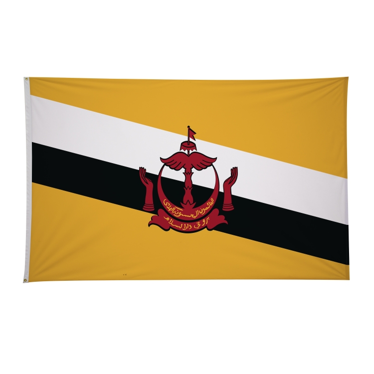 5' x 8' International Flags 191