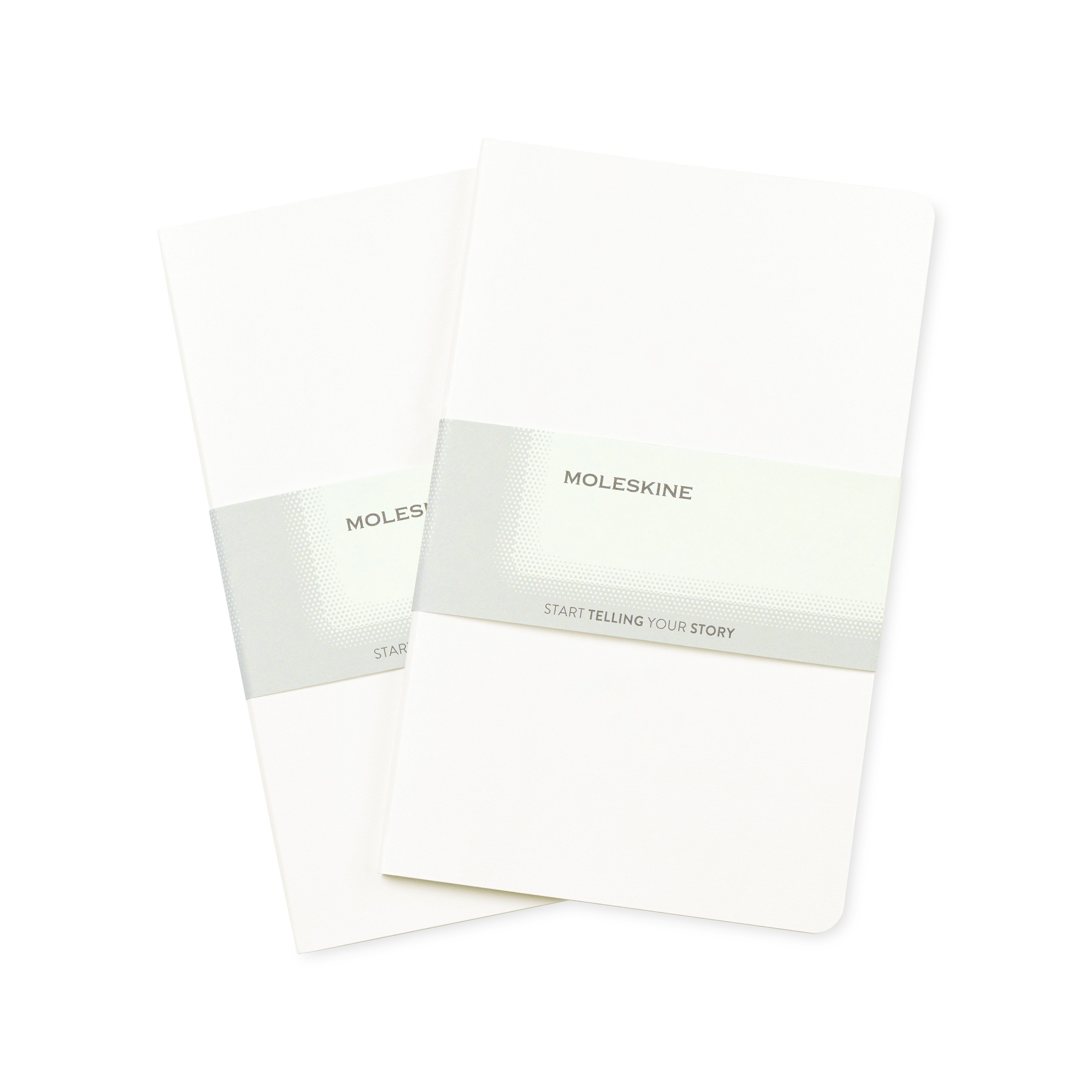 Moleskine® Large Volant 2-Pack 1
