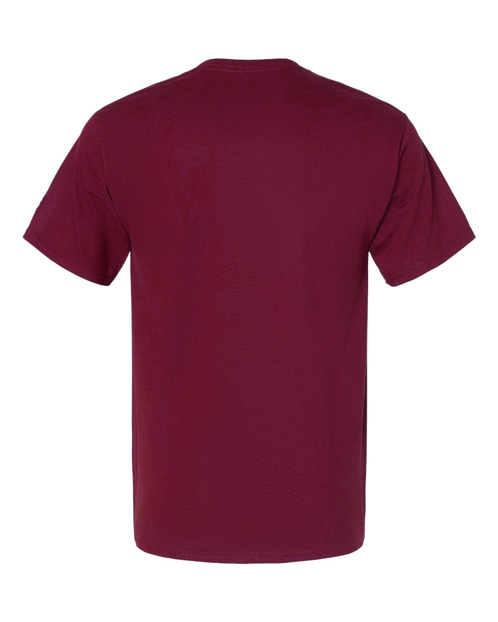 Unisex Classic T-Shirt - T425 247
