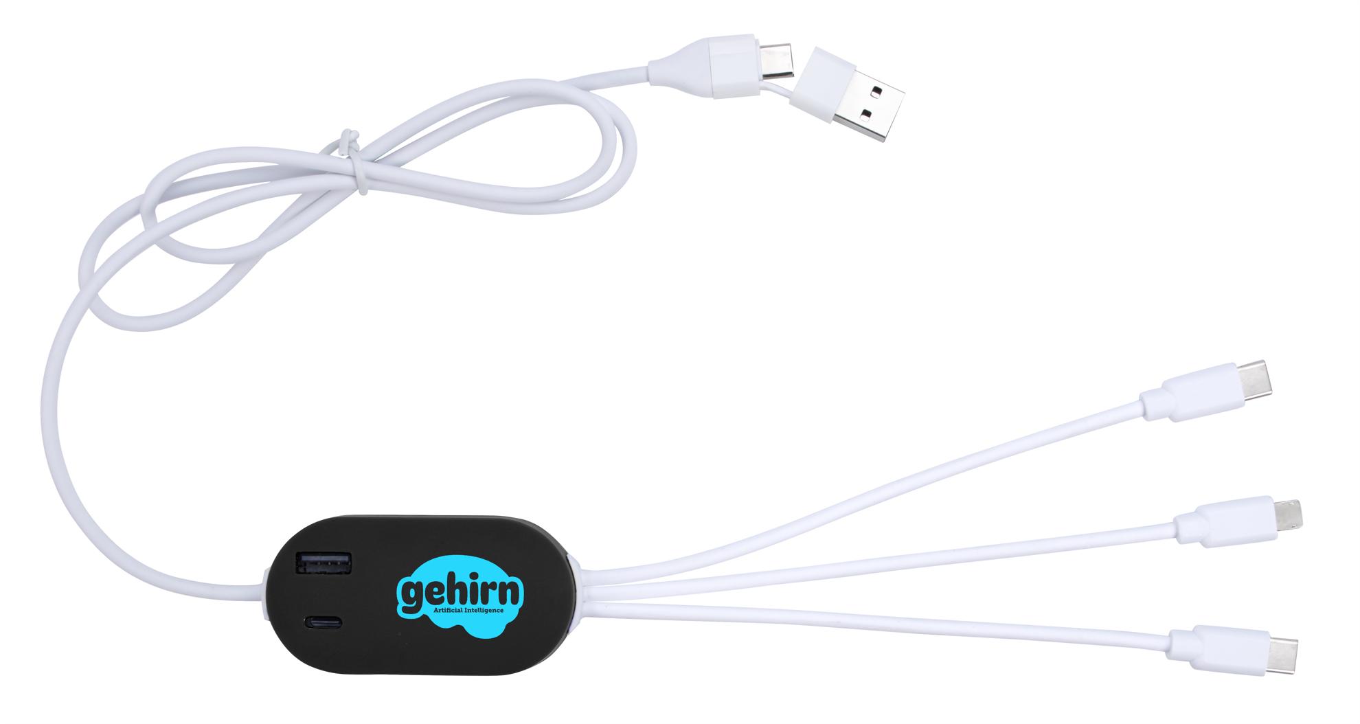 Good Value™ DualLink Charging Cable 2A with USB Hub 17