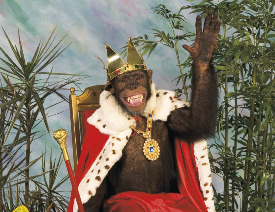 Good Value™ Monkey Mischief - Stapled Calendar 40
