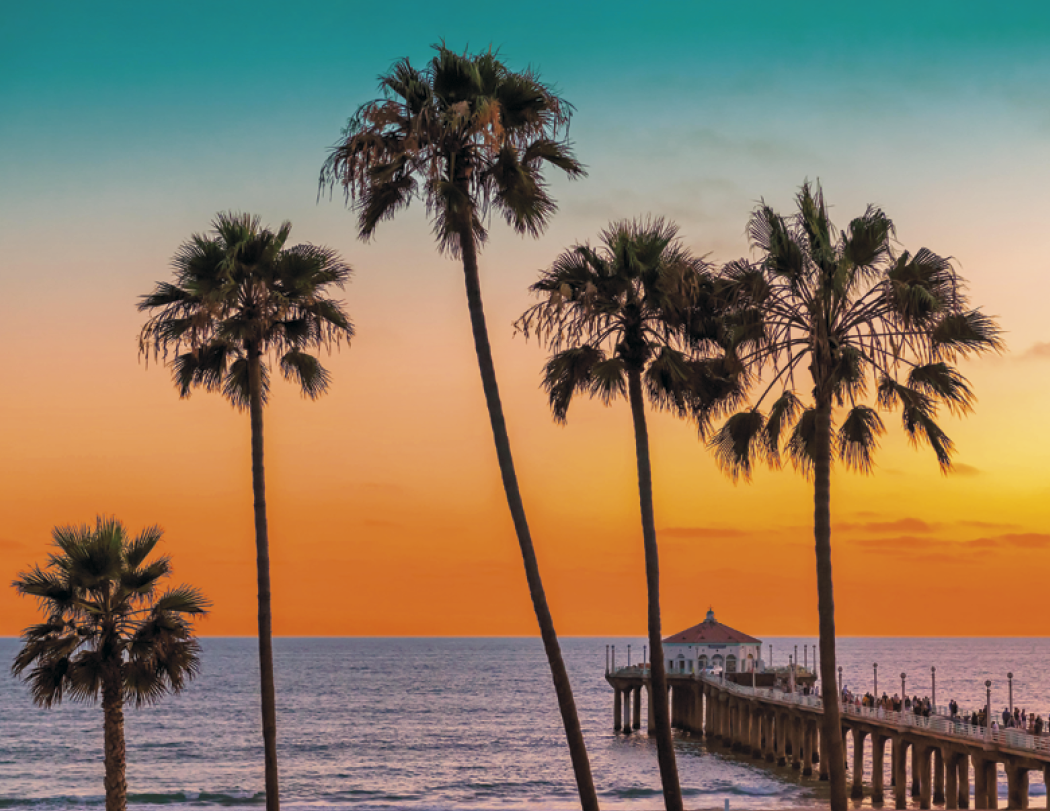 HotLine® Products California Appointment Calendar - Stapled 10