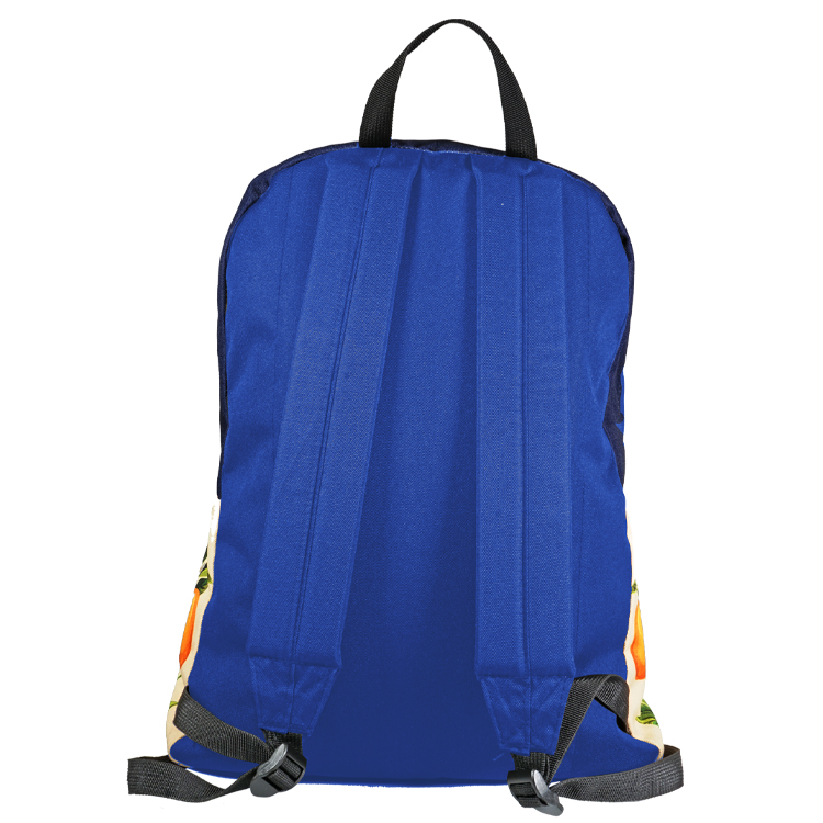 Colorburst Backpack 11