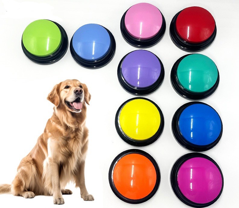 Pet Talking Button Recorder Easy Sound Buttons 4