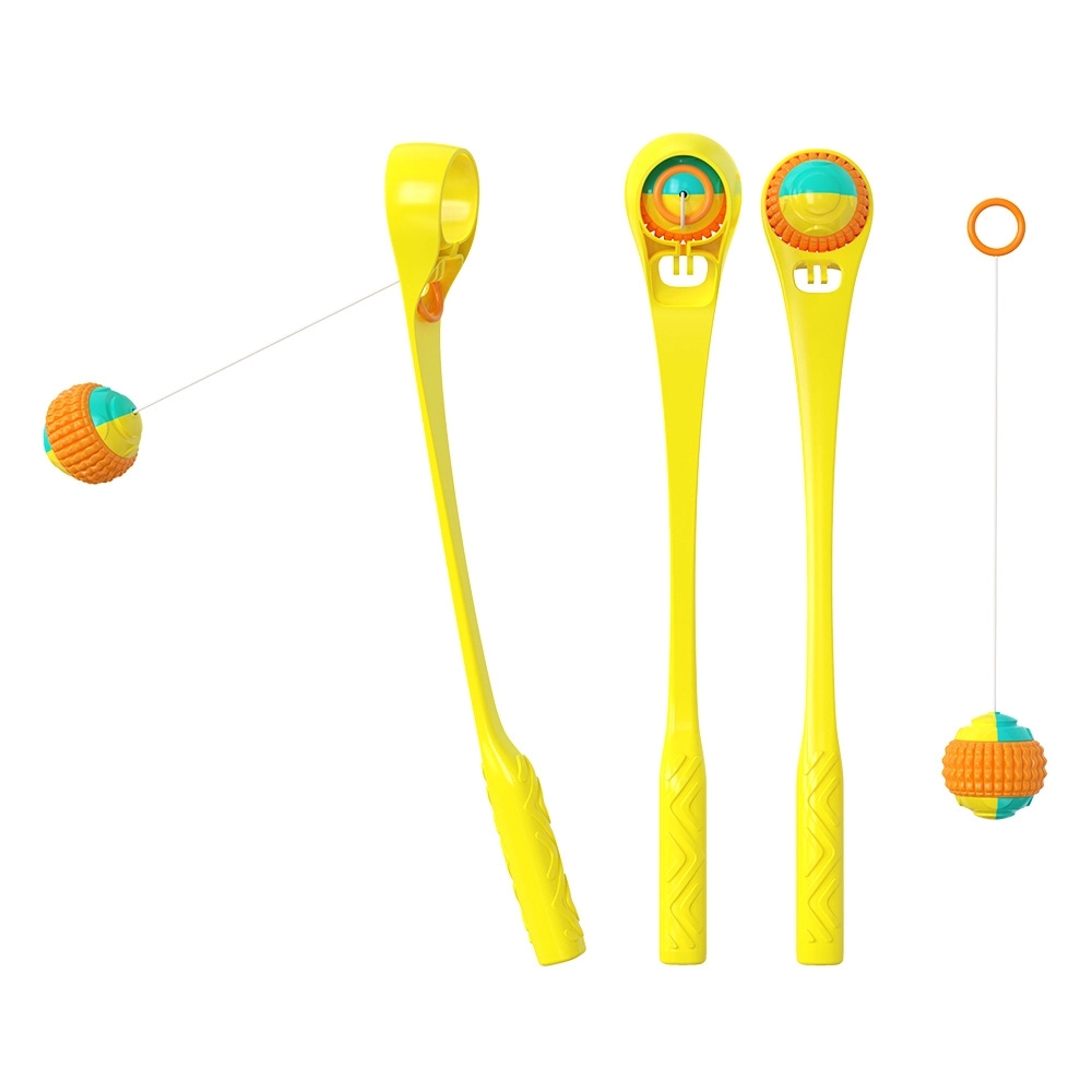 pet training toy 3