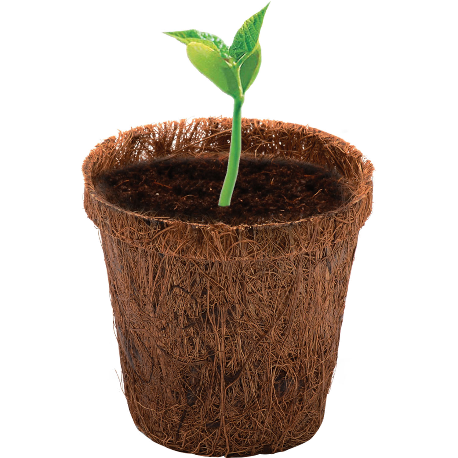 CoCo Planter Kit 2