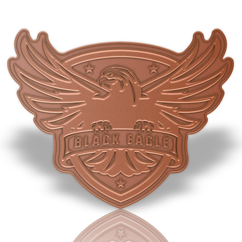 Die Struck Solid Zinc Alloy Lapel Pin 4