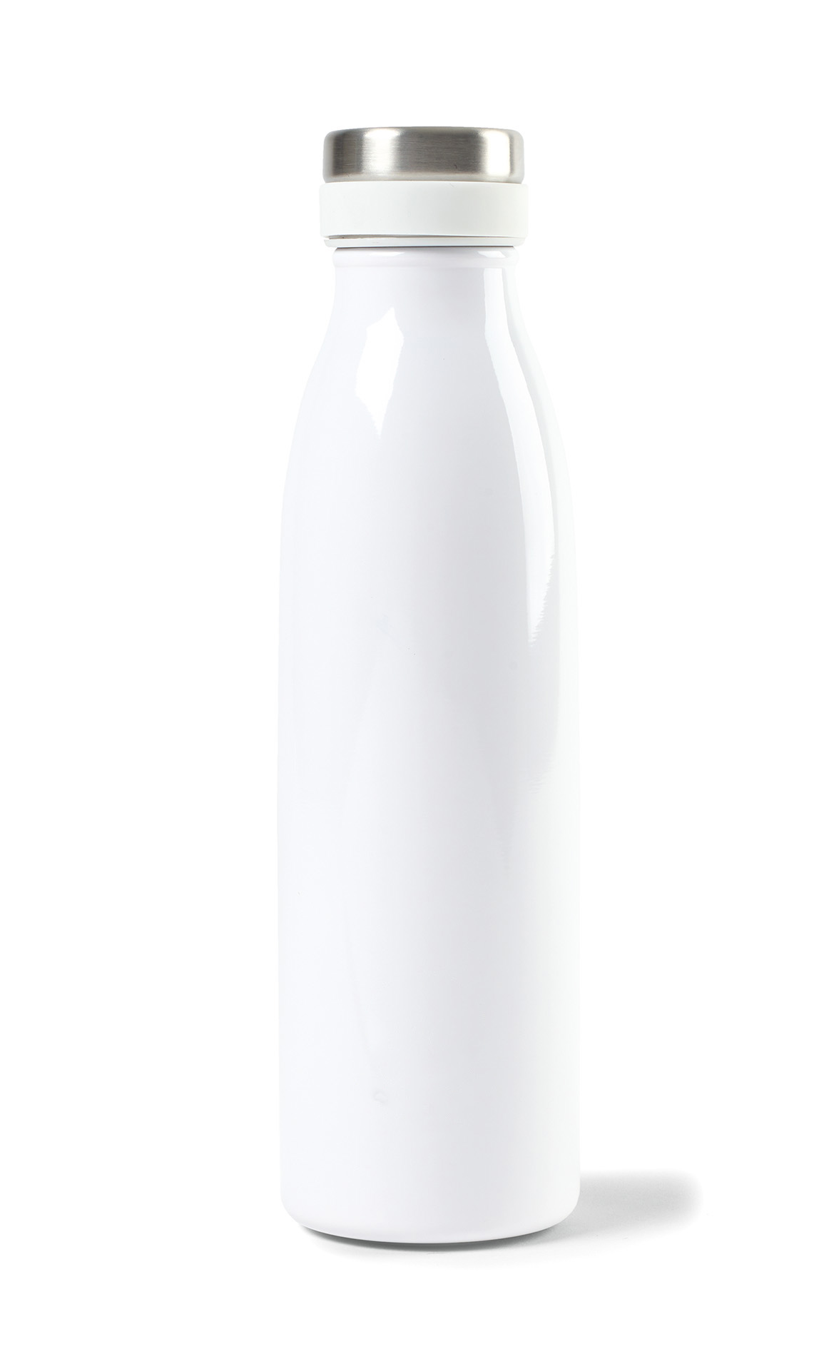 Aviana™ Palmer Double Wall Stainless Bottle - 17 Oz.
