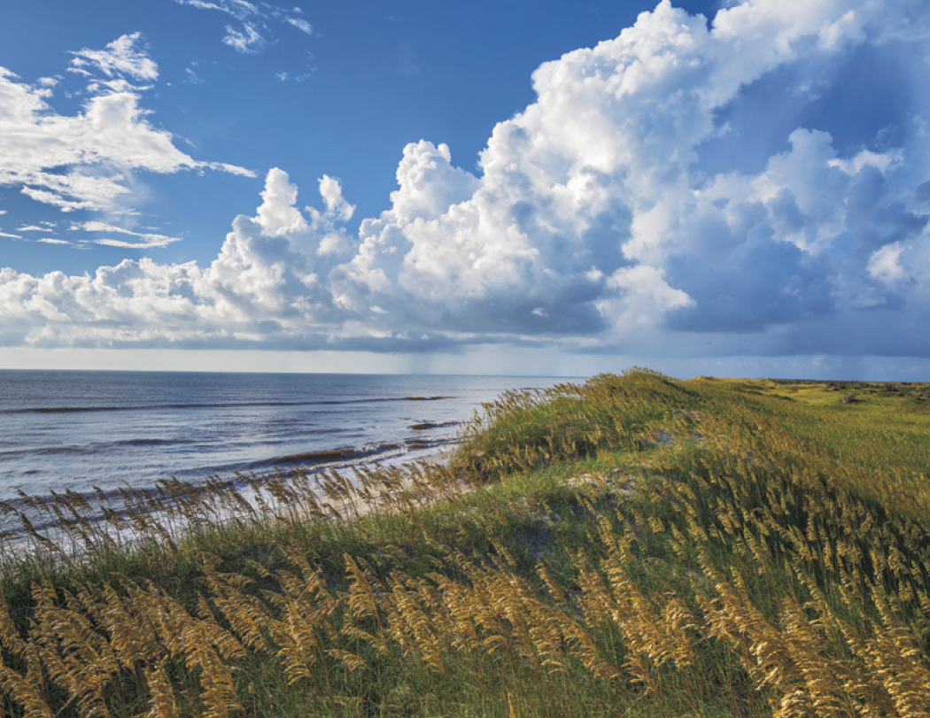 HotLine® Products Catholic Reflections Appointment Calendar - Stapled 53