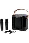 15W Karaoke Wireless Speaker with 2 Mics 55