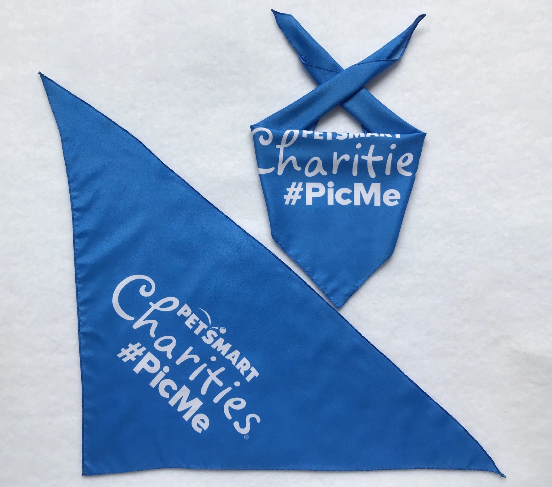 Pet triangle scarf 3
