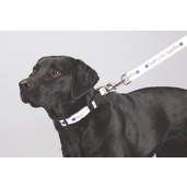 Full Color 1" Wide Premium Pet Leash 33