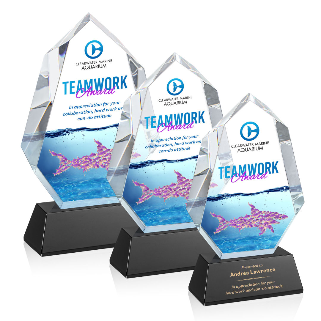Norwood VividPrint™ Award on Newhaven Base - Black 3
