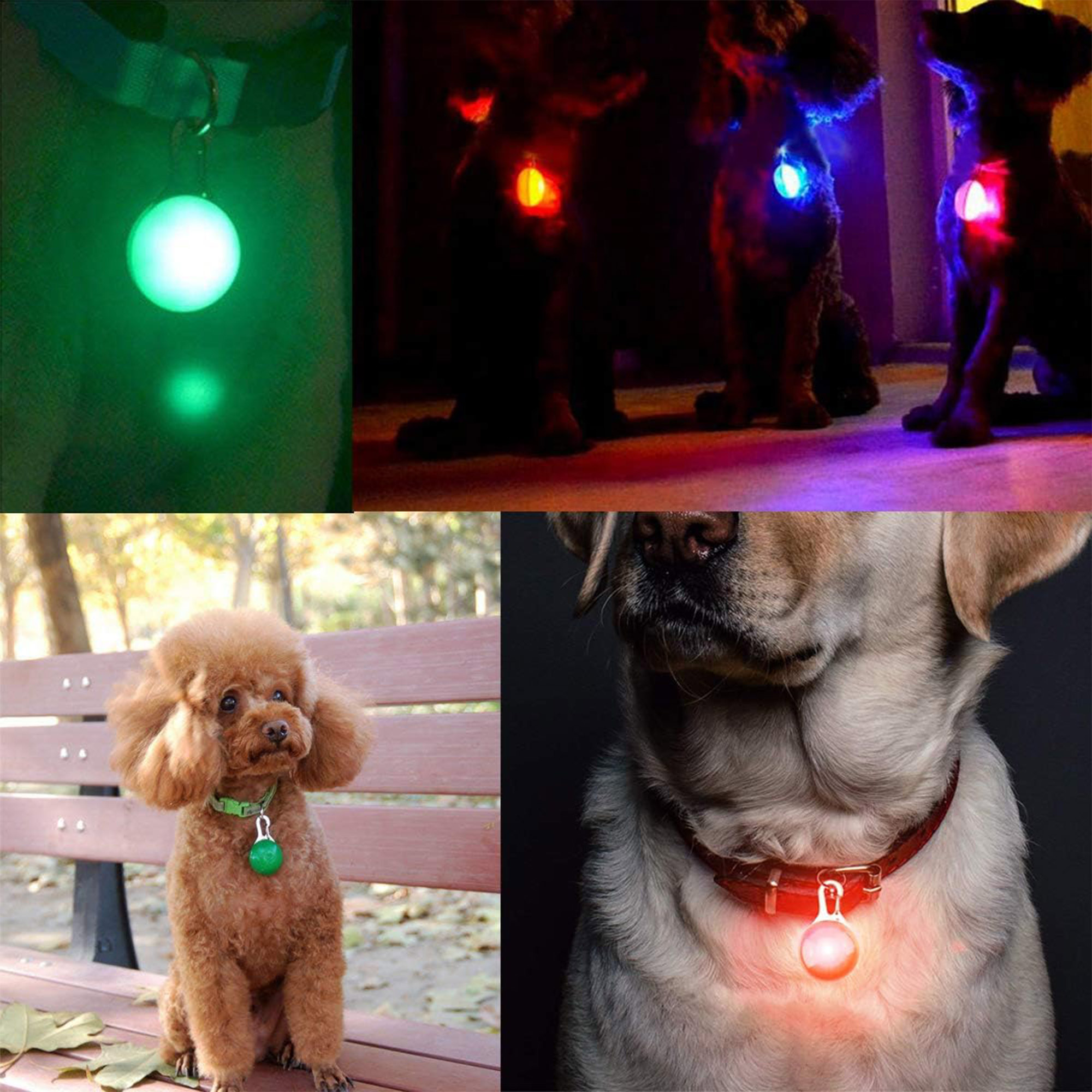 LED Dog Collar Flashing Pet Safety Pendant Necklace Light 4