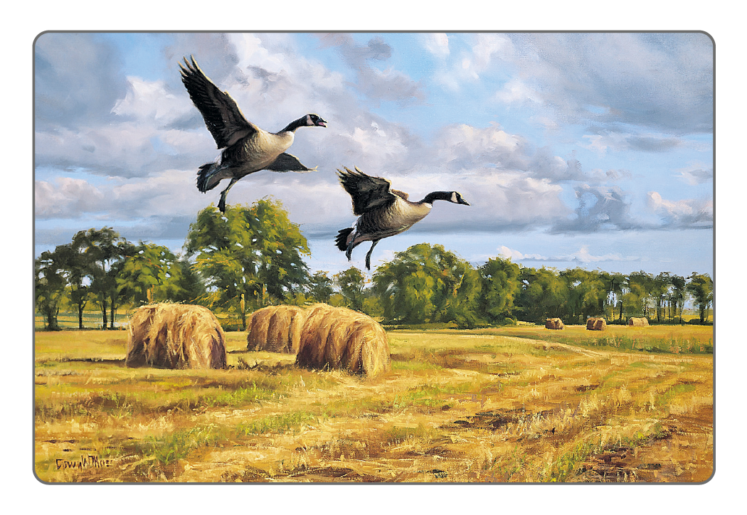 Triumph® Calendars Wildlife Art Pocket Calendar 53
