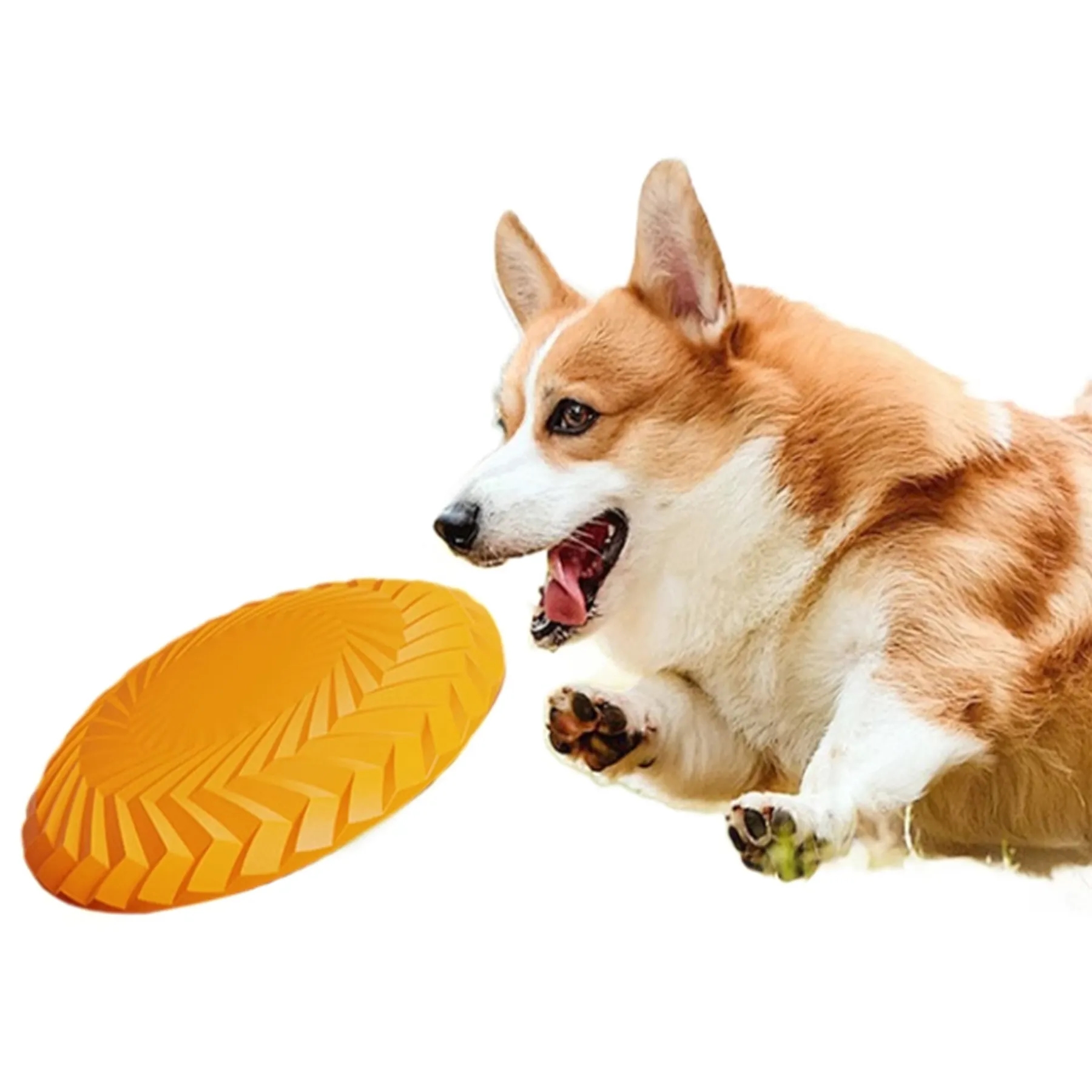 Dog Rubber Flying Disc Toy 3