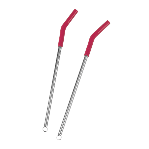 Reusable Stainless Steel Two Straw Set 29