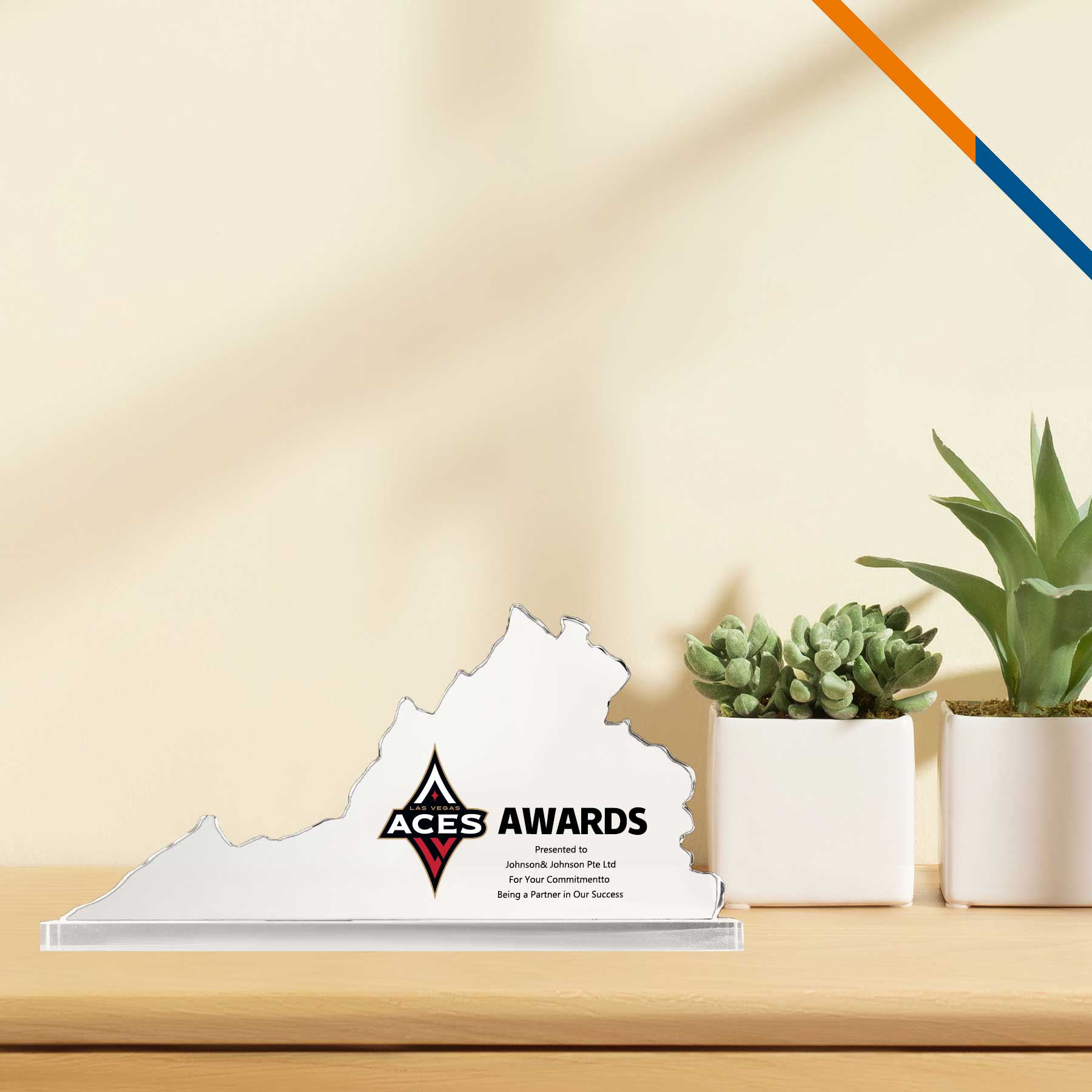 Mara Virginia Map Award 4