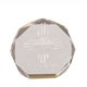 7 Inch Gold Octagon Acrylic Award 2