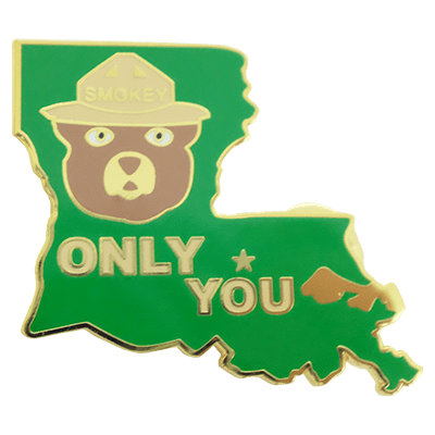 Hard Enamel Lapel Pin 21