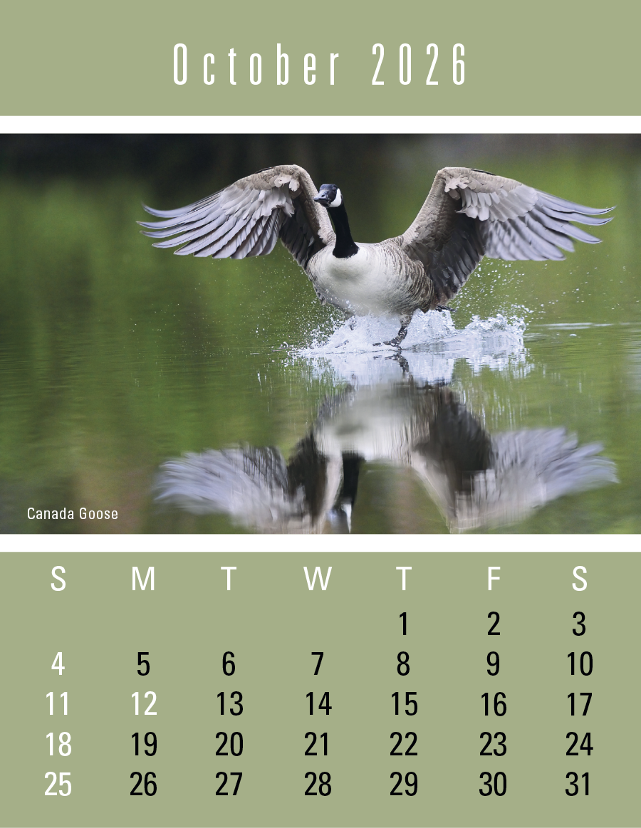 Press-N-Stick Sportsmen Calendar