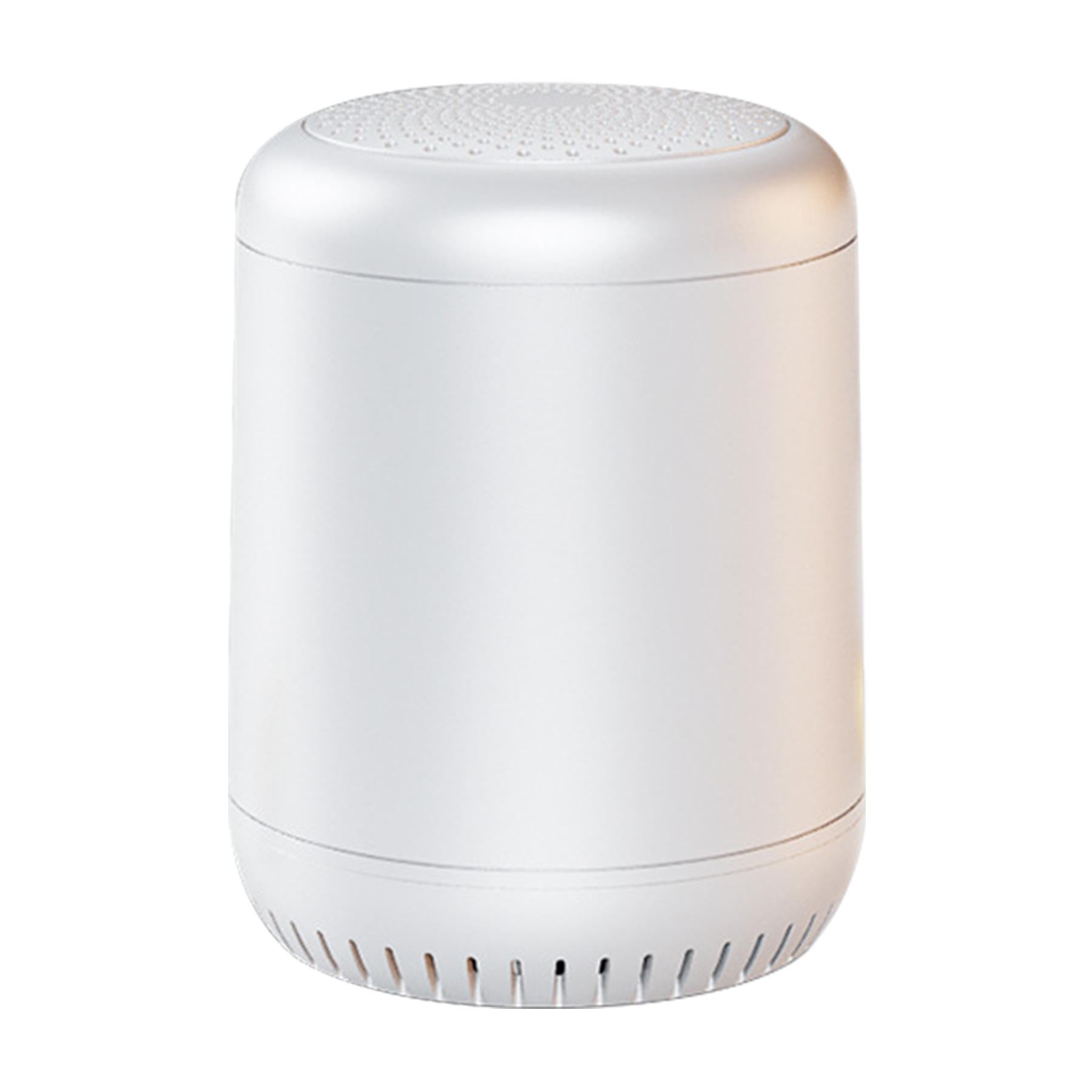 Bluetooth Portable Speaker 4